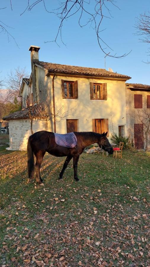 La Caneveta Al Piave Вальдоббьадене Экстерьер фото